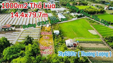 Đất Cần Giuộc : Siêu Phẩm 1000m2 Thổ Lúa Đã Xây Cổng Rào Kiên Cố Cách TL835A Vỏn Vẹn 800m