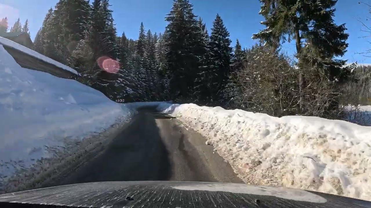 Peugeot 308 SW - Cabana Bolboci - Cheile Tătarului 