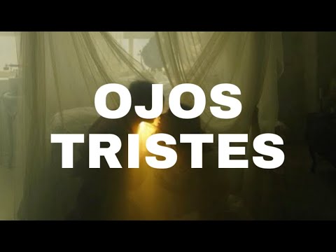 Ojos Tristes - Selena Gomez, benny blanco & The Marías [Vietsub + Lyrics]