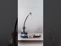 Automated Champagne Makes It Fancy #facts #coolinventions