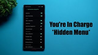 Samsung's Hidden Menu - Notification Categories
