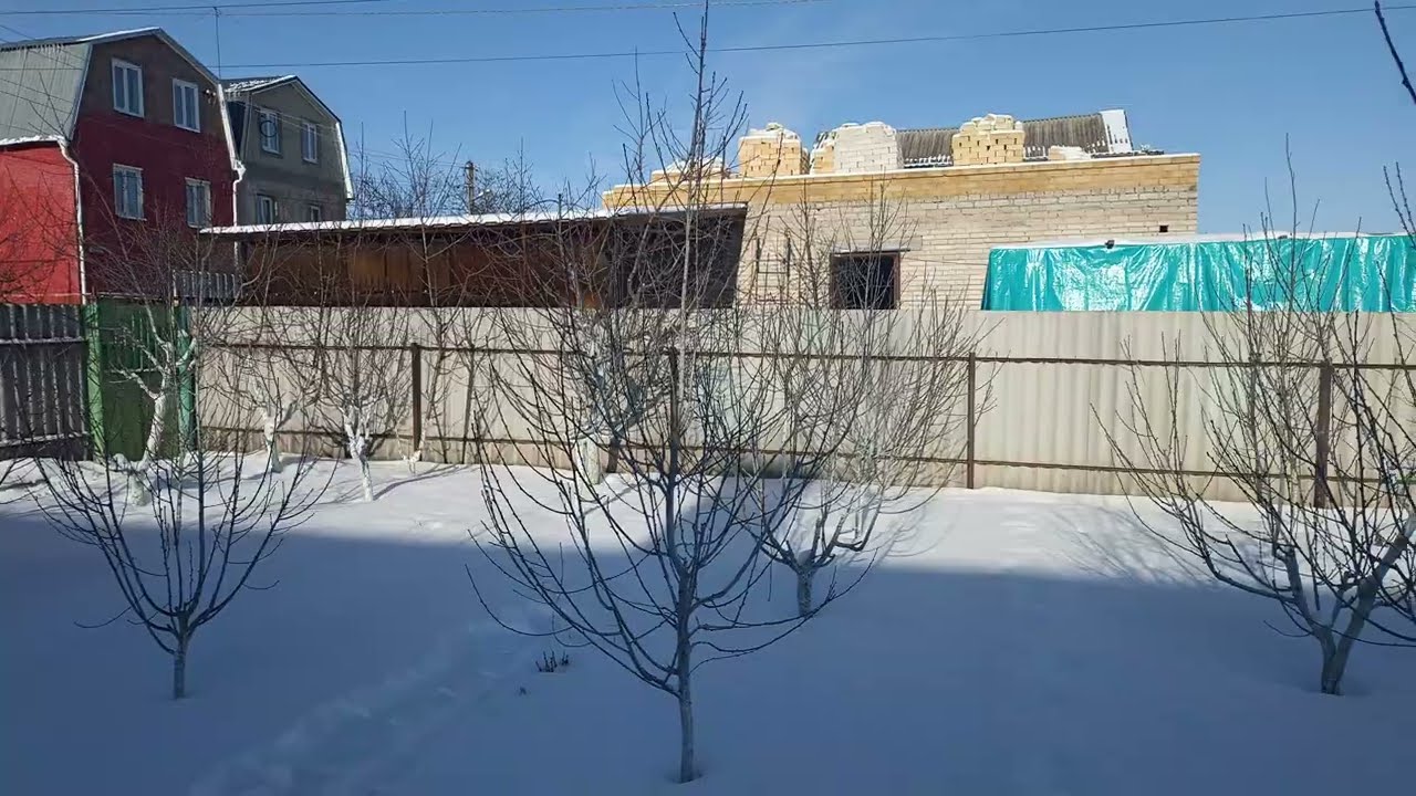 Персики в Воронеже 26 января 2026 г.