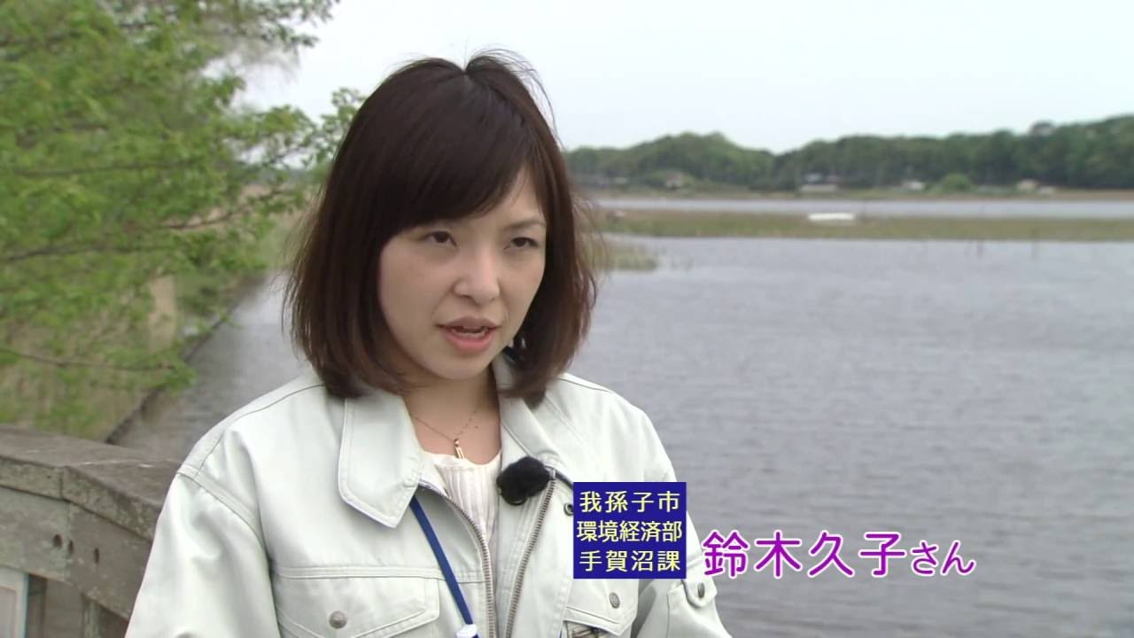 『ちば見聞録』#061「手賀沼物語」(2016.5.28放送)【チバテレ公式】