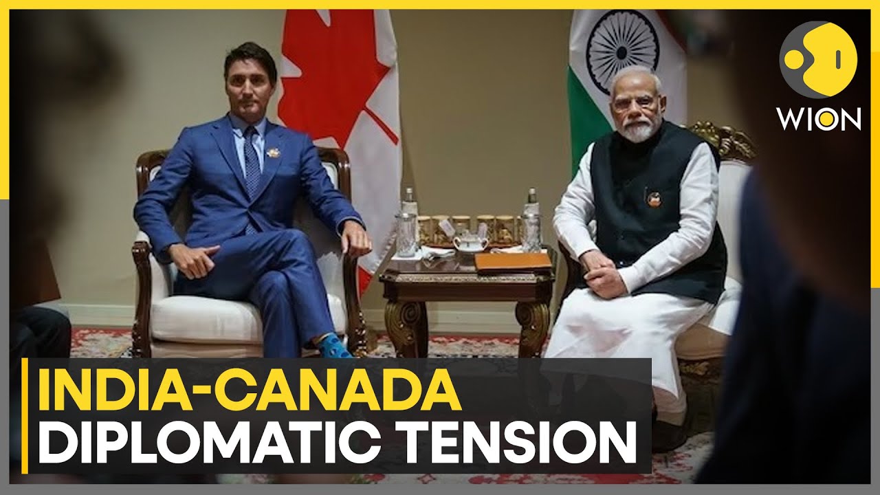 Canada reduces intake of Indian students | Student visas processed by Canada dropped by 42% | WION