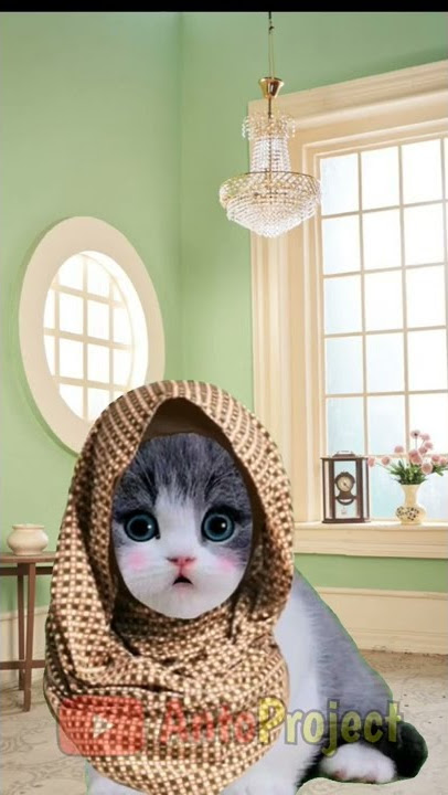 Kucing bernyanyi, cover lagu Tiara😊 #kucinglucu #kucingimut #kucingshalawat #antoproject