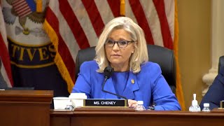 ⁣Liz Cheney’s Trump-Backed Opponent Leads Polls in Primary