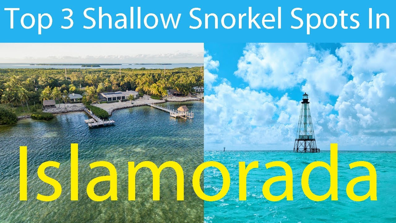 Islamorada Snorkel Guide Our TOP 3 Shallow Reefs (in 4 minutes) YouTube