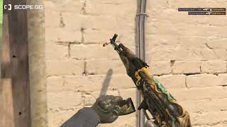 Surely it would've been an ace if not for kill-stealing teammates