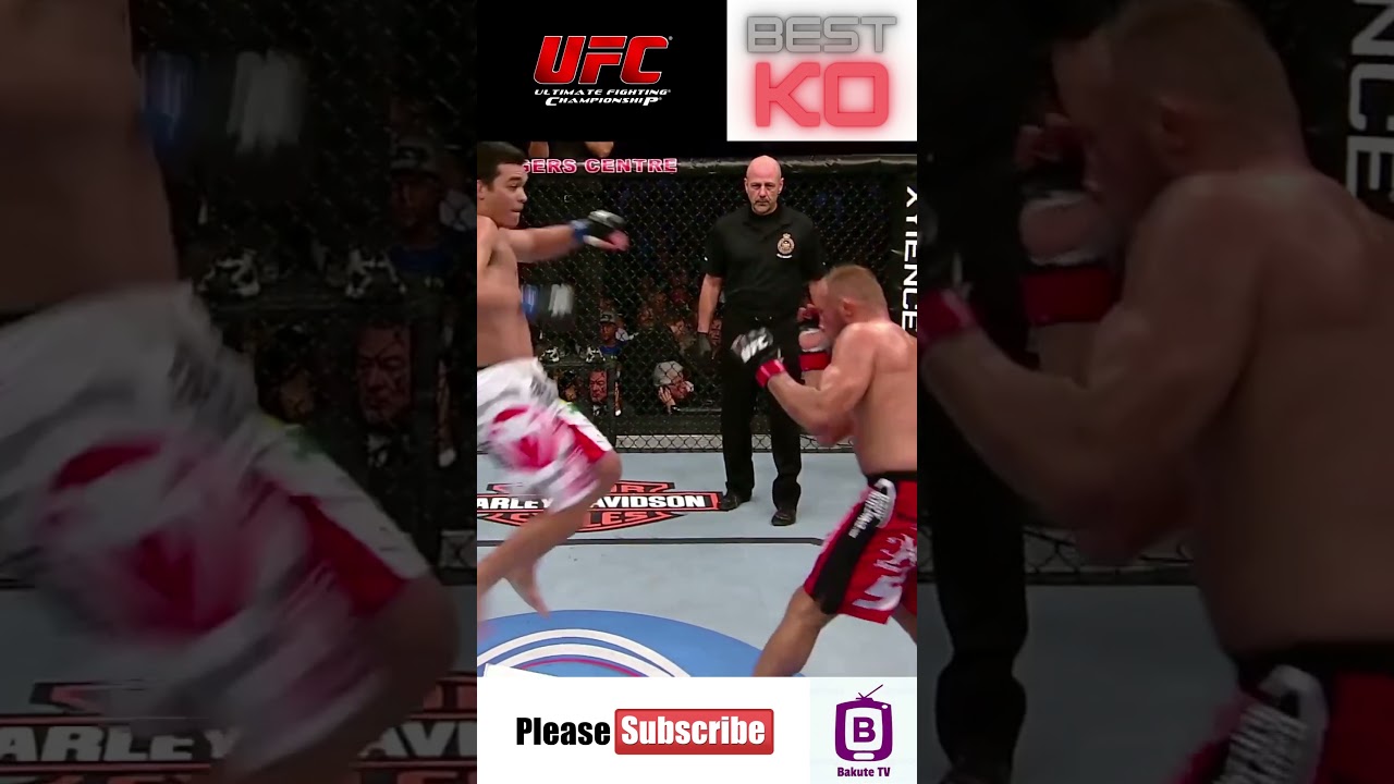 UFC BEST KO #12 | Top Finishes | 