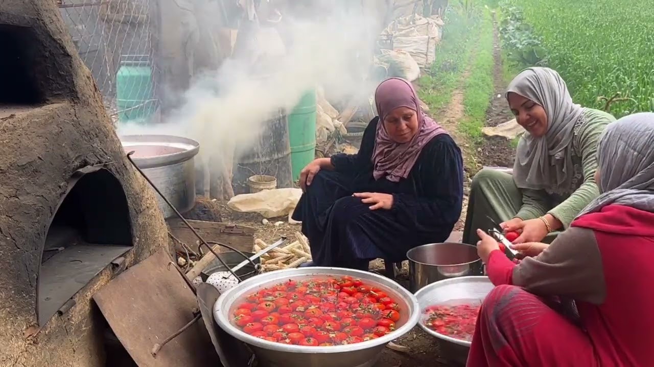 الست دايما الدنيا جايه عليها مش في البشر بس!! الحله مشيت مني في البحر والسبب ؟