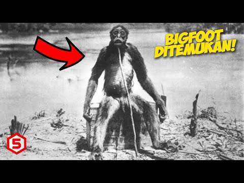 Video: Bukti Keberadaan Bigfoot - Pandangan Alternatif
