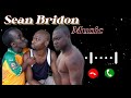 Sean Bridon 2.0 Official Music| Sean Bridon Background Music| Sean Bridon Dance Music| Jack | Hulk 🔥