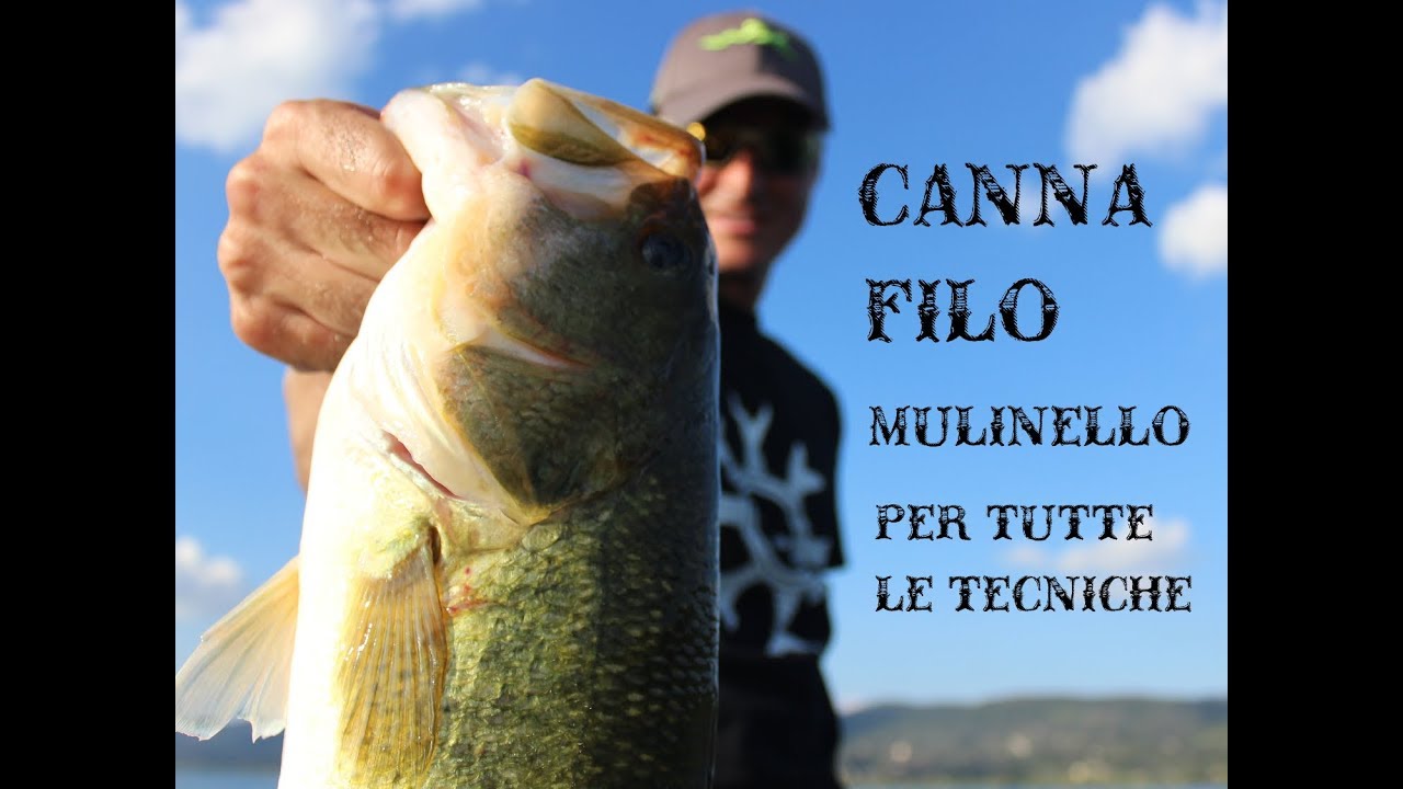 Bass Fishing - Canna, Mulinello e Filo per tutte le tecniche by Luca Quintavalla