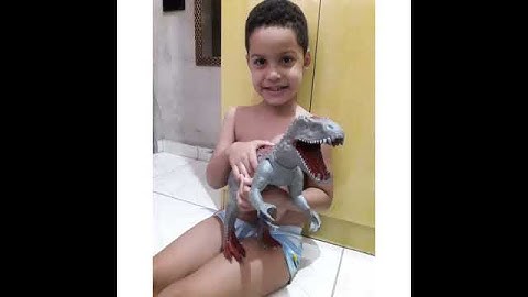 Meu brinquedo favorito