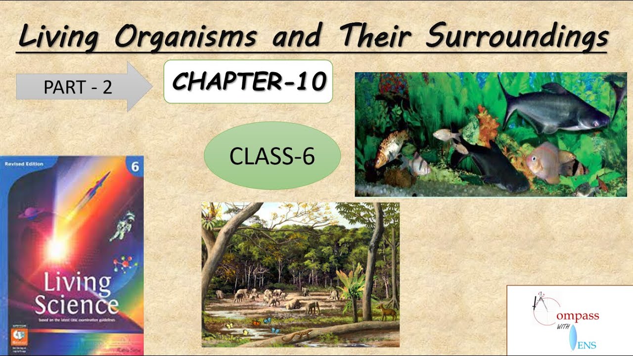 Living Organisms and Their Surroundings Chapter10 class6 Living