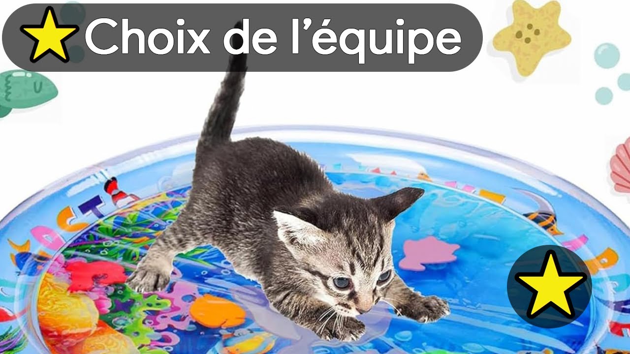 Tapis D'eau Lumineux Pour Chat - PVC épais 1 Mm, Poissons Flottants, Jeu Interactif LED 7 Couleurs - 7
