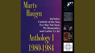 Video thumbnail of "Marty Haugen - The Light of Christ"