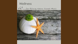 Meditate (Zen Meditation)