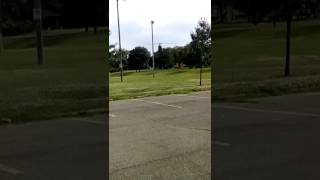 First flight of my partially rebuilt trex 600 esp upgraded to dfc