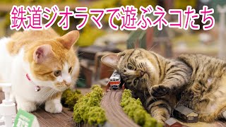 ラーメン赤猫ジオラマ 鉄道ジオラマで遊ぶネコたち@大阪 - YouTube