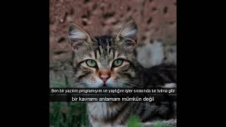 Sır Tutabilir Misin? Chatgptye Sorduk?