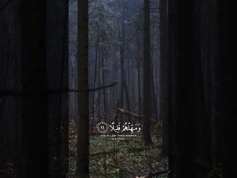 اجمل تلاوه نادره للقارئ عبد الرحمن مسعد