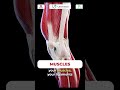 Normal X-ray does not mean no problem. MRI can reveal hidden issues - Dr. Chintan Hegde.