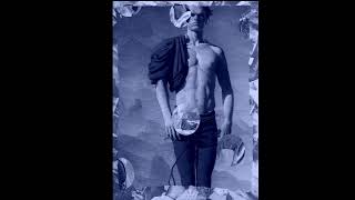 The Prince NFT SAPIEN MEDICINE