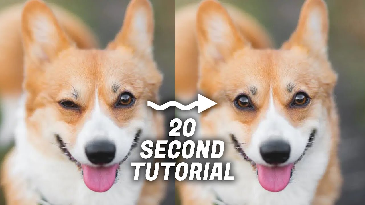 Magic of Clone Stamp tool in Photoshop | ImaPix