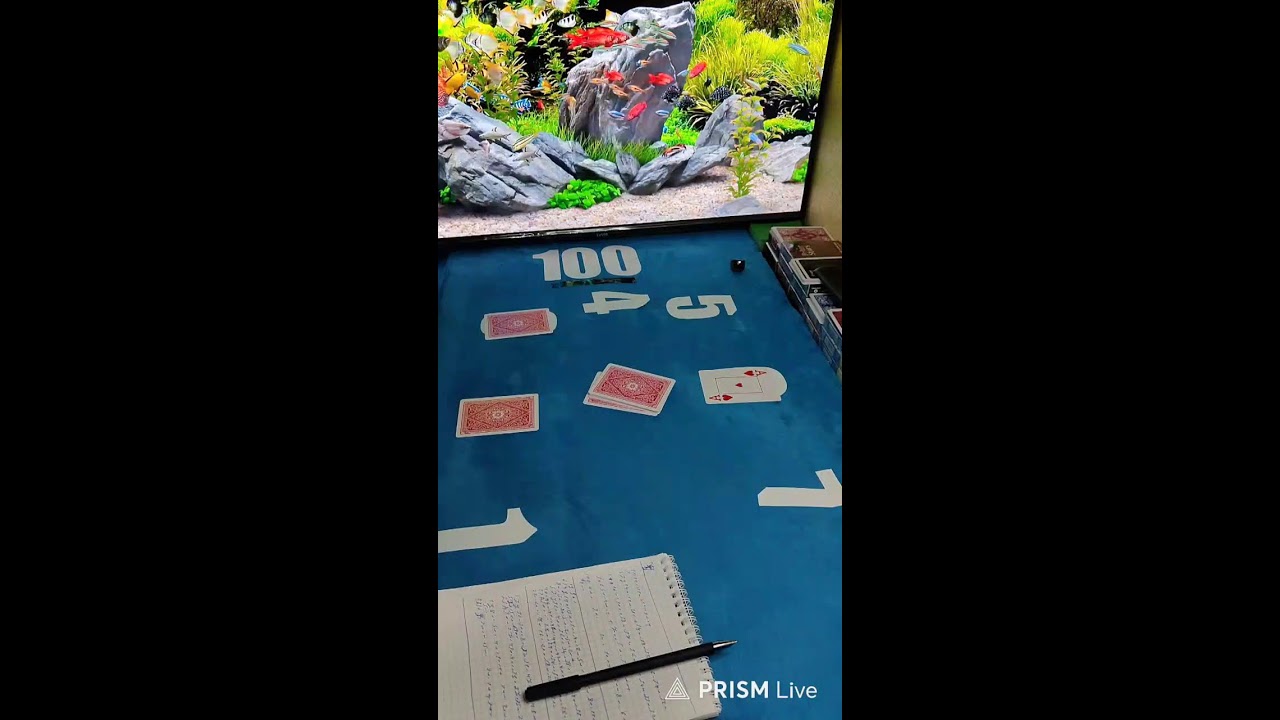 Прямая трансляция тринка тч