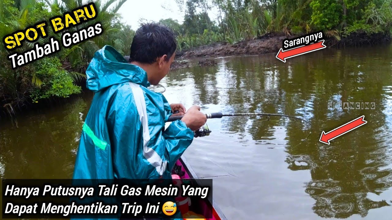 Rezeki Mancing Kakap, Kerapu, dan Black Bass Saat Hujan di Spot Baru Muara Sungai Pakai Lure Jitu