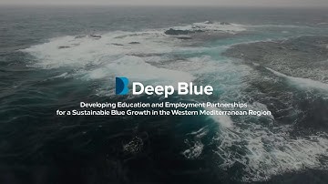 Deep Blue project | Introduction