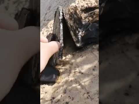 هلا ورحب مطر وسحب كل ما طلت هلت هلا بالعيال 