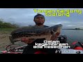 TOMAN MORIB |INFLATABLE BOAT FISHING VLOG| #vlog36