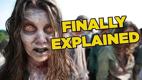 How The Walking Dead