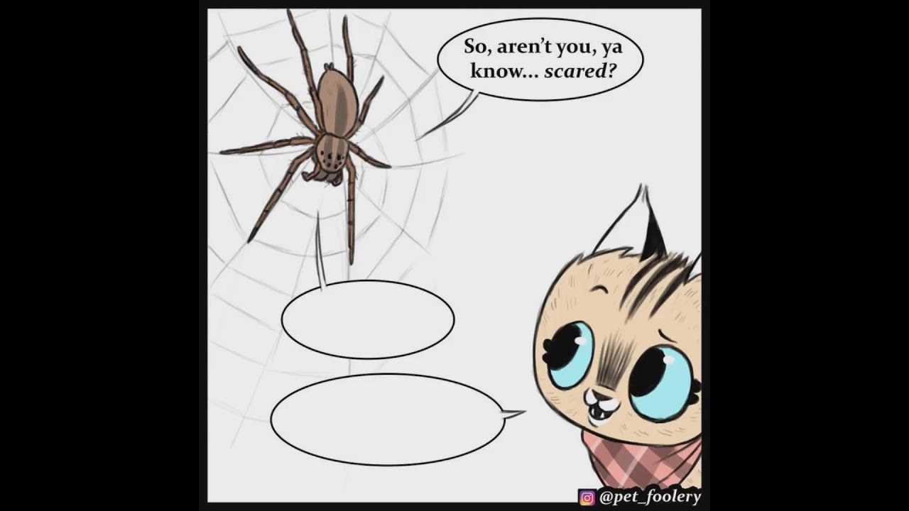 Пикси знакомится с пауком. Pixie and Brutus (перевод и озвучка : Бугши)