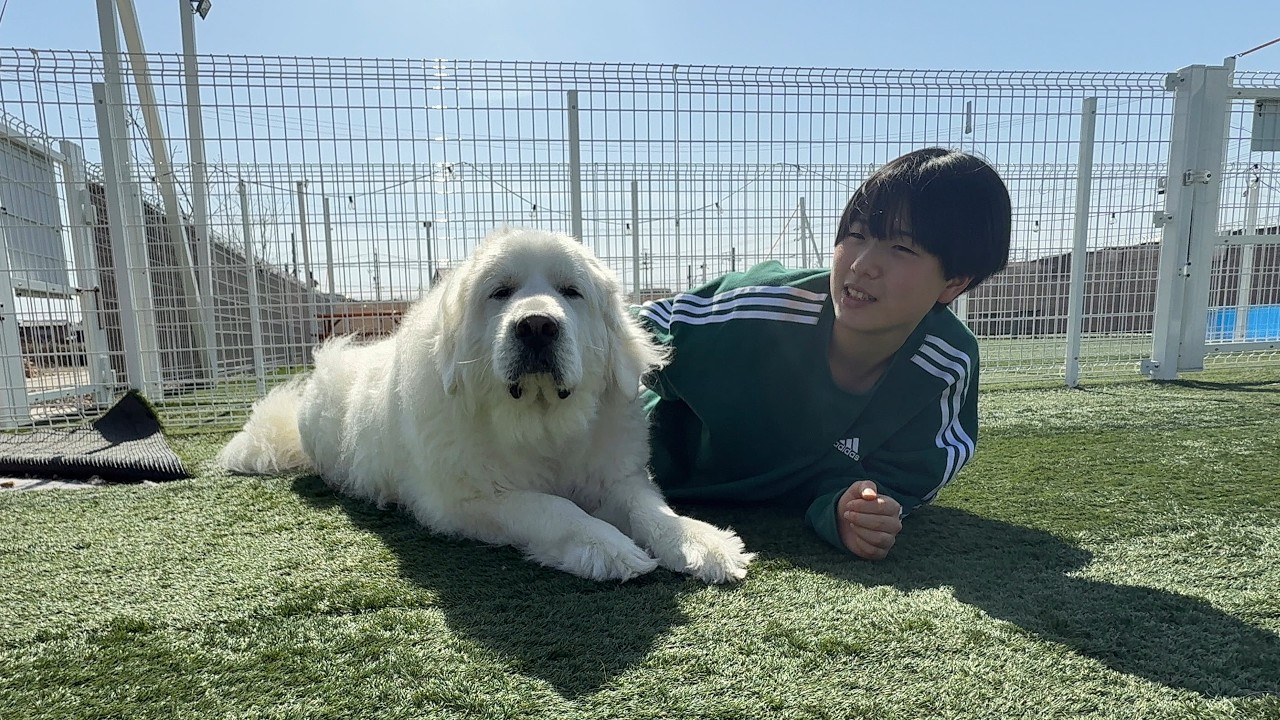 春休みに入った娘たちがコロ、アル、ロイのお世話をしに来てくれました