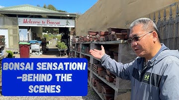 Bold Bonsai Experiments: Nursery Tour Part 2