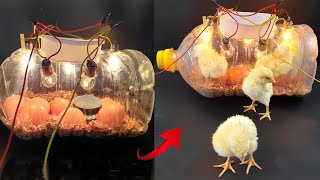 How to make a home incubator from a bottle | Best incubator for Hatching Chicks