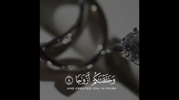 حالات واتس اب تلاوة جميلة وهادئة من سورة النبأ القارئ احمد الخضر || حالات واتساب قرآن||