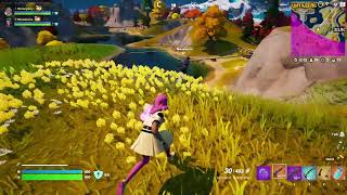 Совершенно точно не Fortnite (1/2) [06.06.2023]