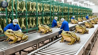 Download Lagu Inside Modern Frog Leather Factory: From Raw Frog Skins to High-End Fashion Goods (Full Process) MP3