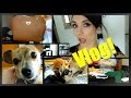 VLOG: Feb. 17th-25th | Purses, Cleaning, Lipsticks, & MORE!