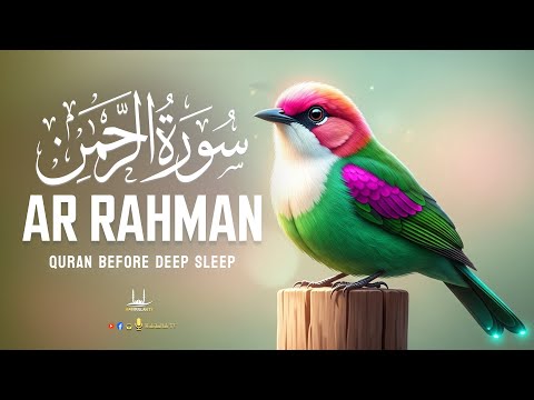    سورة الرحمن          