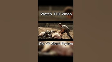 Rescue Team Battles Giant Python to Save Innocent Mother Pig #AIRescue #AIVideo