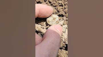 Silver in the hole! #metaldetecting #coin #metaldetector #treasurehunting #coins #silver