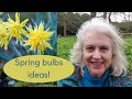Spring bulbs ideas - plus spring garden tour of Doddington Place Gardens