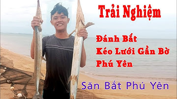 Phú yên vlog|| trải nghiệm đánh bắt cá gần bờ ở phú yên