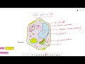 CELL : THE UNIT OF LIFE ( INTRODUCTION)