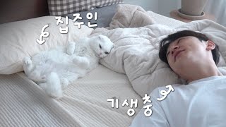 Humans Who Lives in a Cat's House by 무지막지한 막무家네 39,792 views 2 months ago 4 minutes, 59 seconds